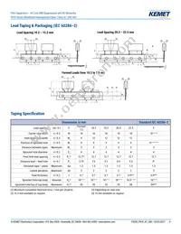 P410EE104M300AH101 Datasheet Page 9