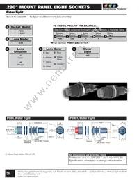 P84W-G60H-CG Datasheet Page 21