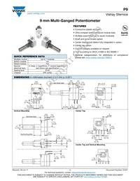 P9A2R100FISX1503MA Datasheet Cover