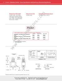 PA304 Datasheet Page 2