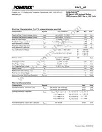 PA432406 Datasheet Page 3