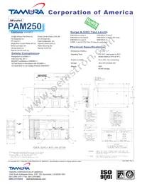 PAM250-8 Datasheet Page 2