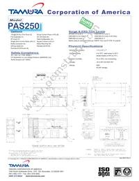 PAS250-8 Datasheet Page 2