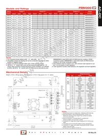 PBM300PQ07-C Datasheet Page 2