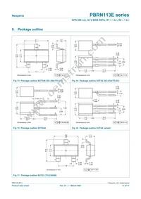 PBRN113ES Datasheet Page 11