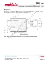 PE22100A-X Datasheet Page 10