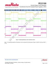 PE22100A-X Datasheet Page 13