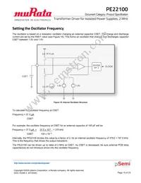 PE22100A-X Datasheet Page 15