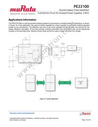 PE22100A-X Datasheet Page 16