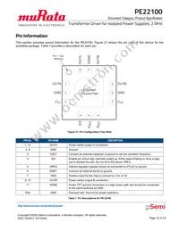 PE22100A-X Datasheet Page 18