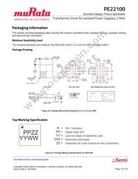 PE22100A-X Datasheet Page 19