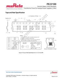 PE22100A-X Datasheet Page 20