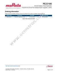 PE22100A-X Datasheet Page 21