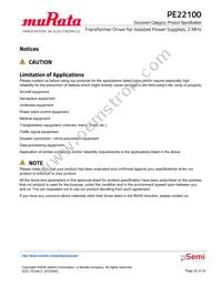 PE22100A-X Datasheet Page 22