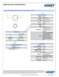 PEG124KC322AQL1 Datasheet Cover