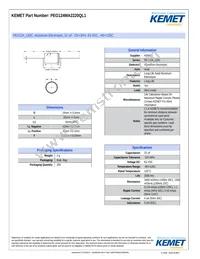 PEG124MA2220QL1 Cover