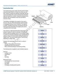 PEG124MG368AQL1 Datasheet Page 11