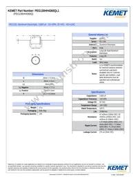 PEG130HH4360QL1 Datasheet Cover