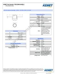 PEG130MJ4140QL1 Datasheet Cover