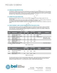 PES1600-12-080NA Datasheet Page 11