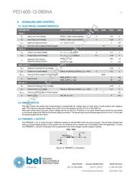 PES1600-12-080NA Datasheet Page 13
