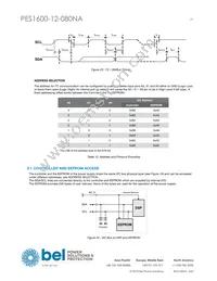 PES1600-12-080NA Datasheet Page 19