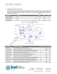 PET1300-12-054NAE Datasheet Page 13