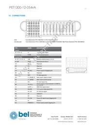 PET1300-12-054NAE Datasheet Page 17