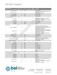 PET1300-12-054NAE Datasheet Page 21