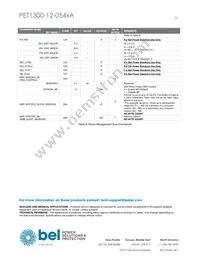 PET1300-12-054NAE Datasheet Page 23