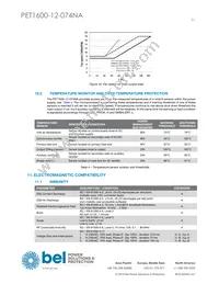 PET1600-12-074NA Datasheet Page 21