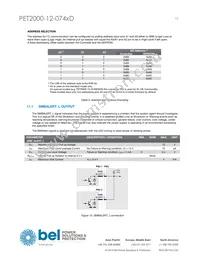 PET2000-12-074RD Datasheet Page 13