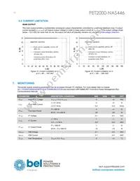 PET2000-NAS446 Datasheet Page 10