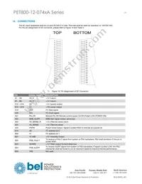 PET800-12-074RA Datasheet Page 19