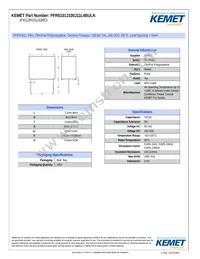 PFR5101J100J11L4BULK Datasheet Cover