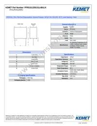 PFR5101J250J11L4BULK Datasheet Cover