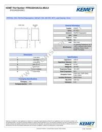 PFR5102H100J11L4BULK Datasheet Cover