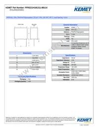 PFR5221H100J11L4BULK Datasheet Cover