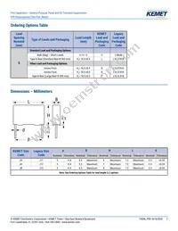 PFR5221J630J11L4BULK Datasheet Page 2