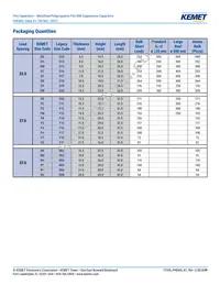 PHE845VD5100MR30L2 Datasheet Page 11