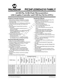 PIC24FJ256DA206T-I/MR Datasheet Page 3