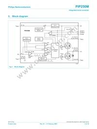 PIP250M Datasheet Page 2