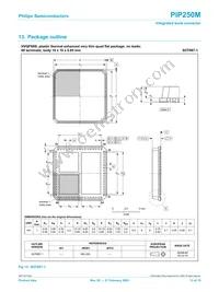 PIP250M Datasheet Page 13