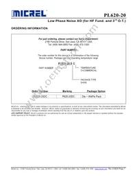 PL620-20DC Datasheet Page 7