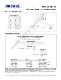PL620-88OC Datasheet Page 6