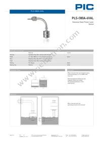 PLS-080A-6VAL Datasheet Page 2
