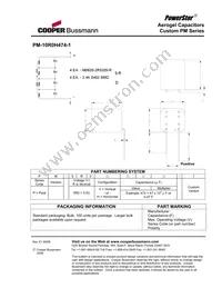 PM-10R0H504-1 Datasheet Page 2