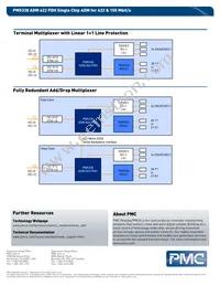 PM5338-FEI Datasheet Page 2