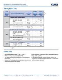 PME264NB5100MR30 Datasheet Page 2