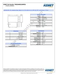 PME264NE6100MR30 Datasheet Cover